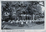 (Bild 00160) 1955 Poststempel / Verlag: unbekannt