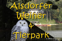 Alsdorfer Weiher und Tierpark