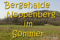 Bergehalde Noppenberg