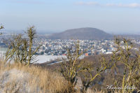 Alsdorf abseits aller Straßen, Bergehalde Noppenberg im Winter, Foto-Nr. 16, 19.12.2009