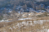 Alsdorf abseits aller Straßen, Bergehalde Noppenberg im Winter, Foto-Nr. 21, 19.12.2009<br />Blick auf den Rundweg in halber Höhe