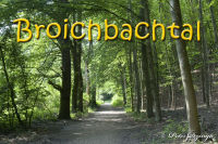 Broichbachtal