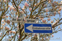 Blumenrath, An der Burgmaar, Foto-Nr. 3, 17.04.2010