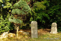 Gedenkstätten, Jüdischer Friedhof Begau, Foto-Nr. 11, 29.10.2011|50.85427778,6.21136111