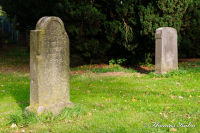 Gedenkstätten, Jüdischer Friedhof Bettendorf, Foto-Nr. 8, 29.10.2011|50.88755557,6.19869444